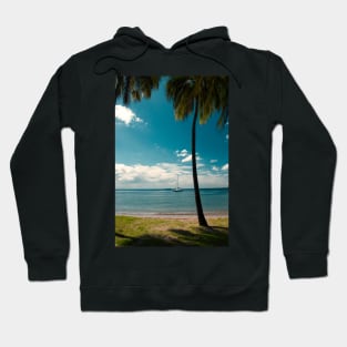 Tropical Landscape Hoodie